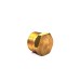 Brass Plug Adapter Hex Male End.